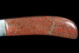 Knife With Fossil Dinosaur Bone (Gembone) Inlays #101812-2